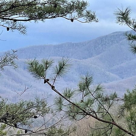 Mountain Love Nest Gatlinburg Kültér fotó