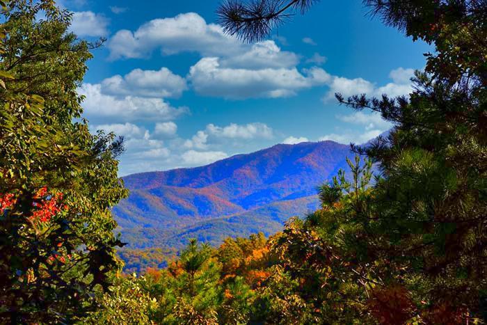 Mountain Love Nest Gatlinburg Kültér fotó