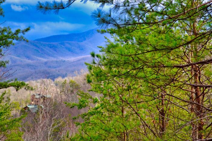 Mountain Love Nest Gatlinburg Kültér fotó